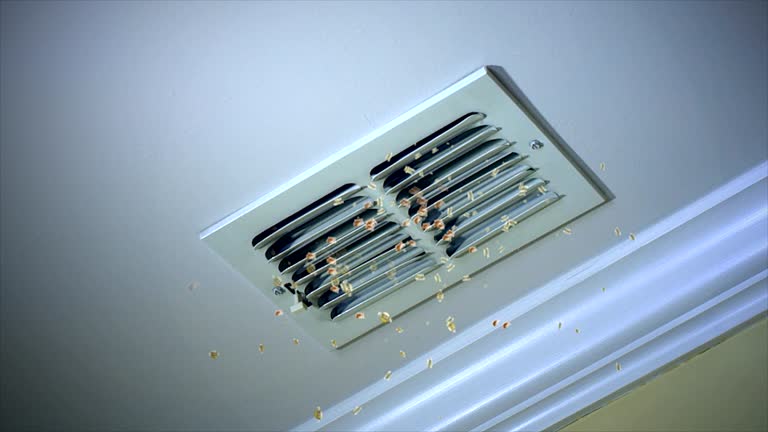 Best HVAC Air Duct Cleaning  in Sebastopol, CA